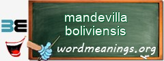 WordMeaning blackboard for mandevilla boliviensis